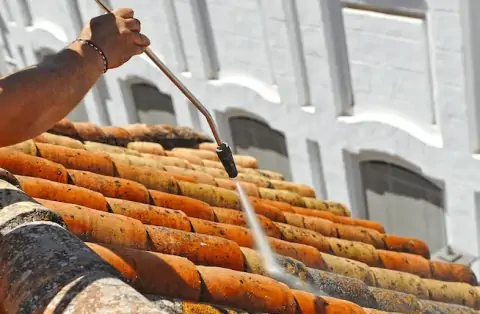 Nettoyage de toitures - Goven